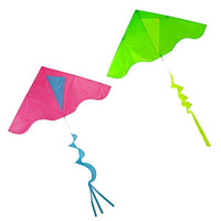 COLORBLOCK DELTA KITE WITH TWISTER TAIL