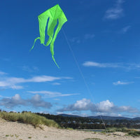 77" WAVE DELTA KITE