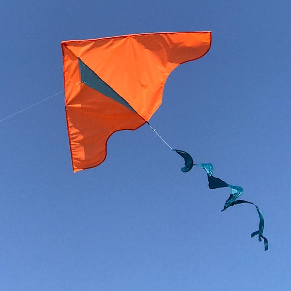 COLORBLOCK DELTA KITE WITH TWISTER TAIL